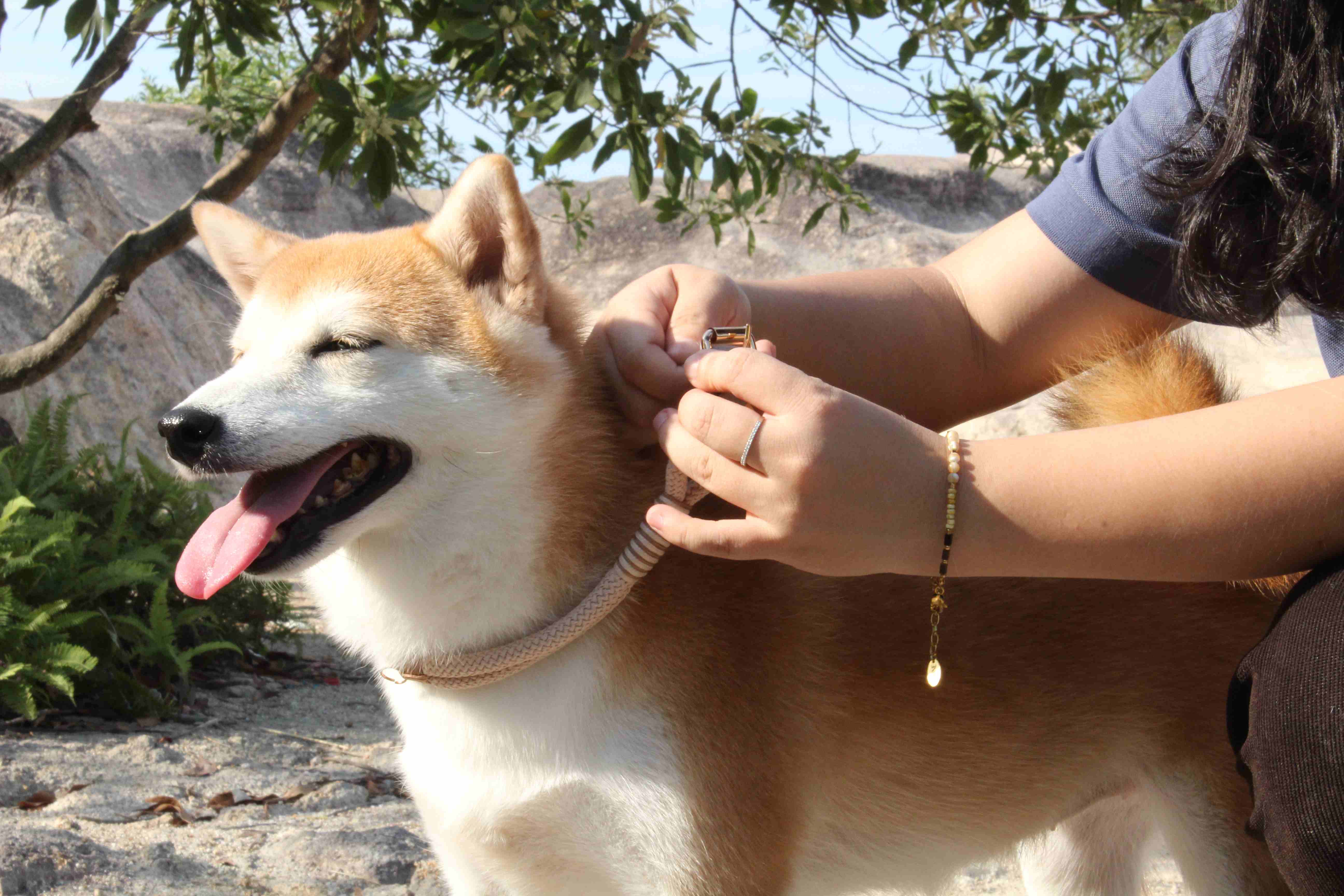 712d1a56248bd9c63c4e31c567c14c52