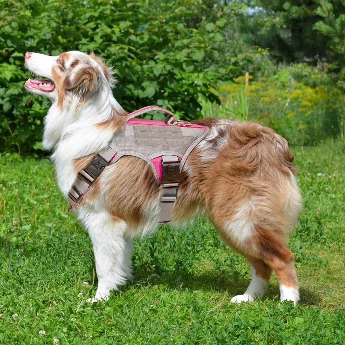 No-Pull Dog Harnesses