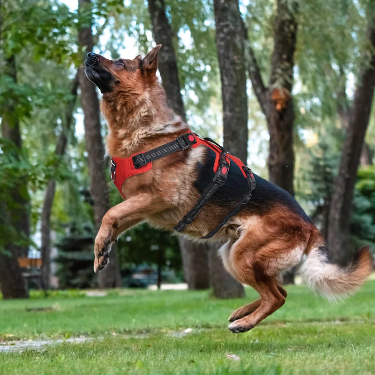 no-pull dog harness no-pull dog harness