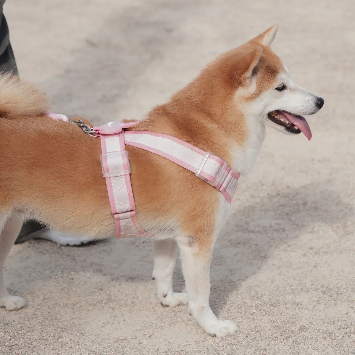 Step-In Dog Harness C4ad3c34af720b18aa5992f6f3a6da76