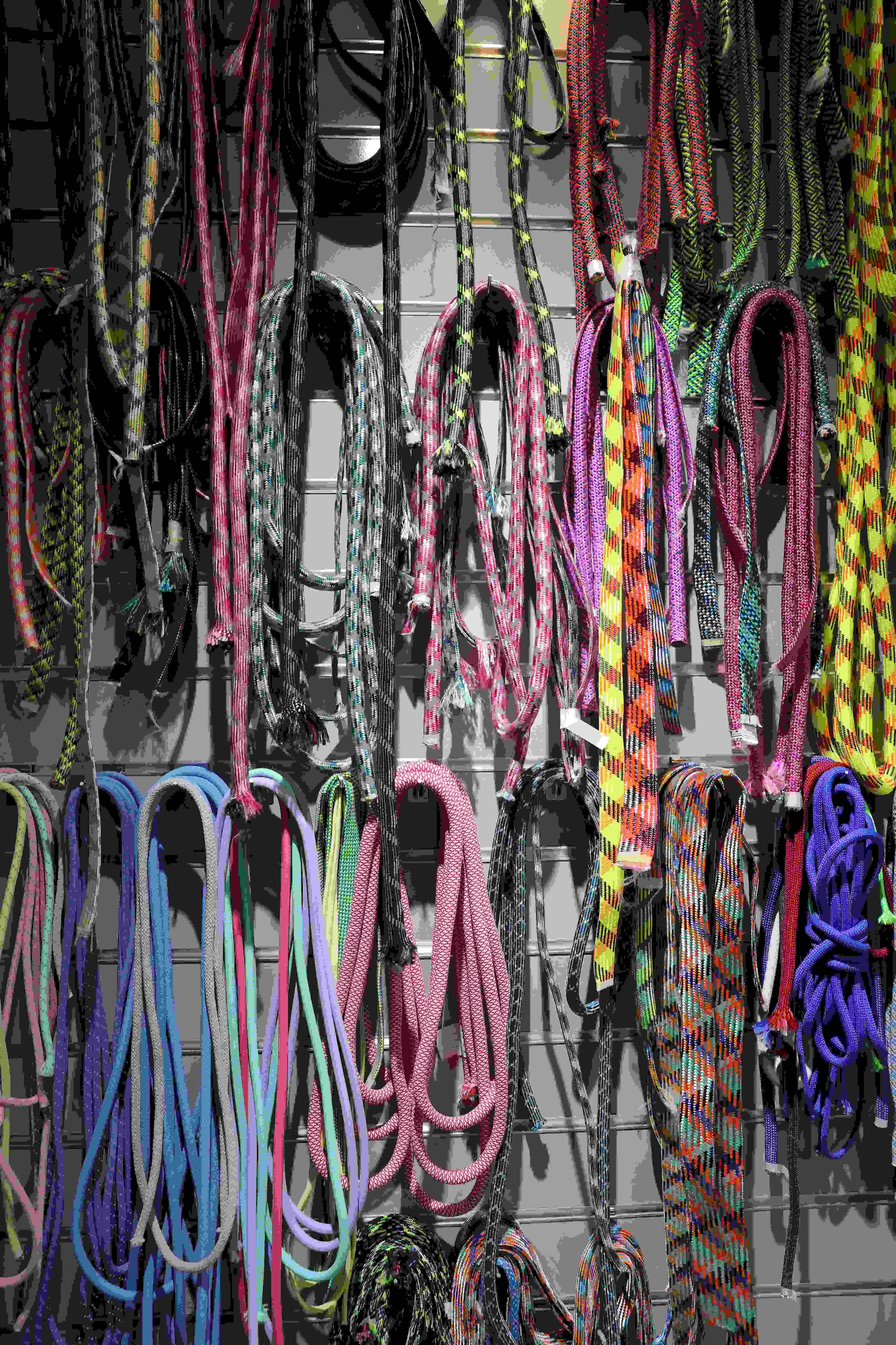webbing webbing