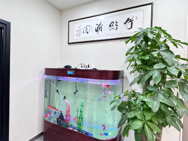 甘肅本地內(nèi)墻涂料售后服務(wù) 固寶龍 上海蘊(yùn)福新材料科技供應(yīng)