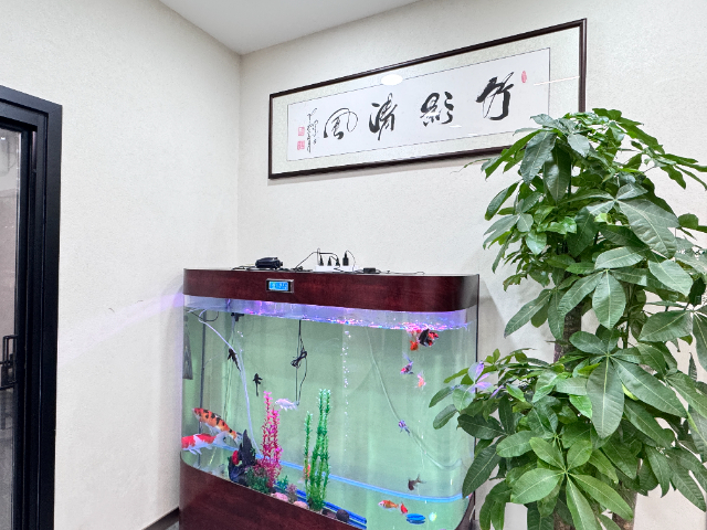 甘肅內(nèi)墻涂料性能 固寶龍 上海蘊(yùn)福新材料科技供應(yīng)