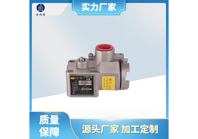 上海直流隔爆線(xiàn)圈定制價(jià)格 寧波市安利特機(jī)械供應(yīng)