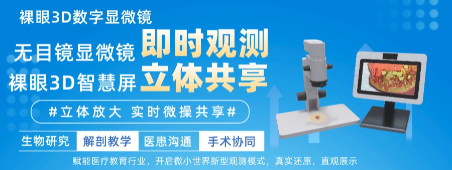 實時虛擬仿真推薦 歡迎來電 愛曲亞智能科技供應(yīng)