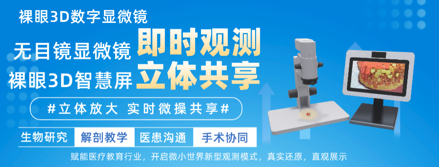 河北虛擬仿真裸眼3D顯示性價(jià)比怎么樣 愛曲亞智能科技供應(yīng)