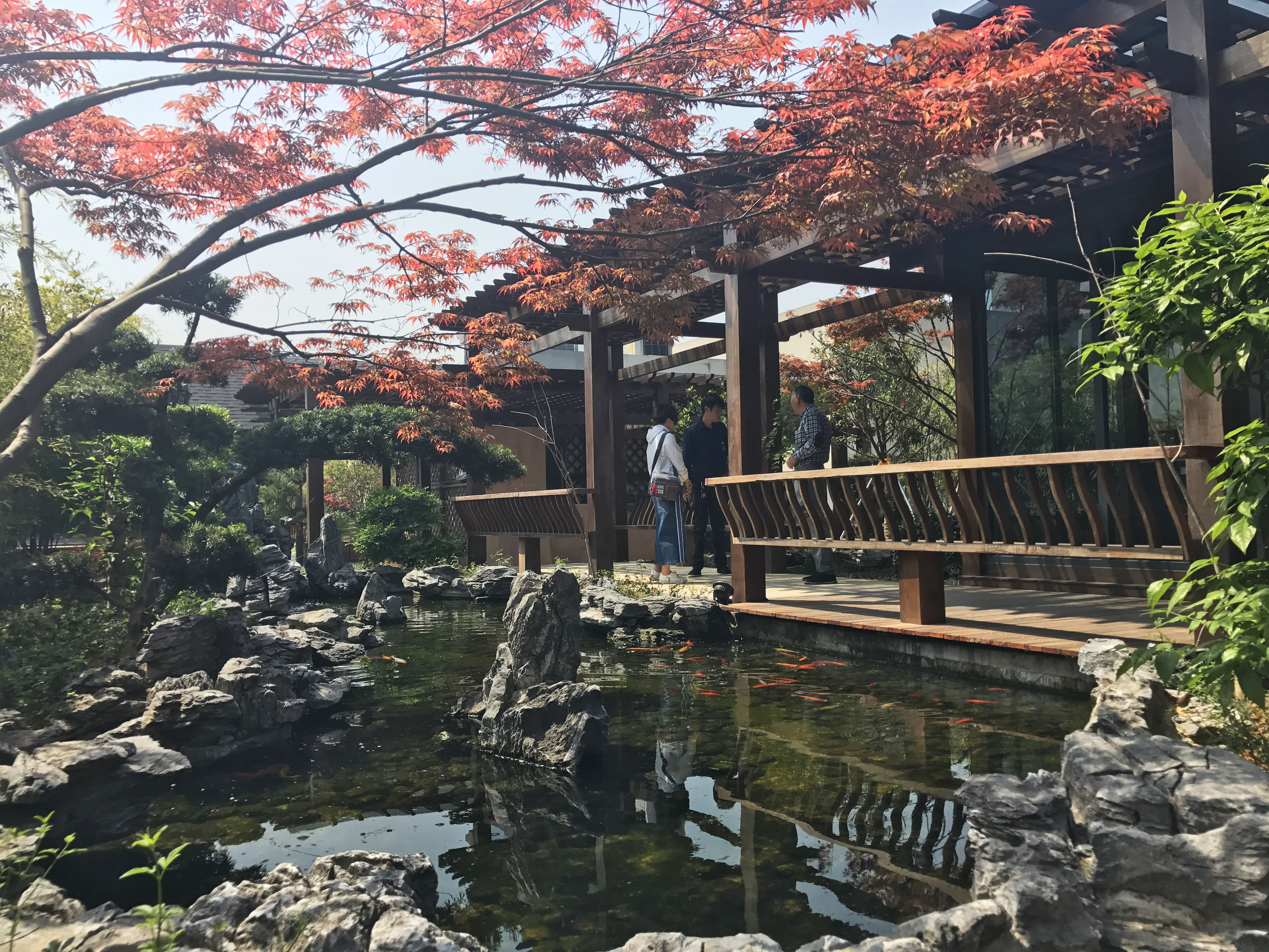 庭院式屋頂花園案例實(shí)景圖