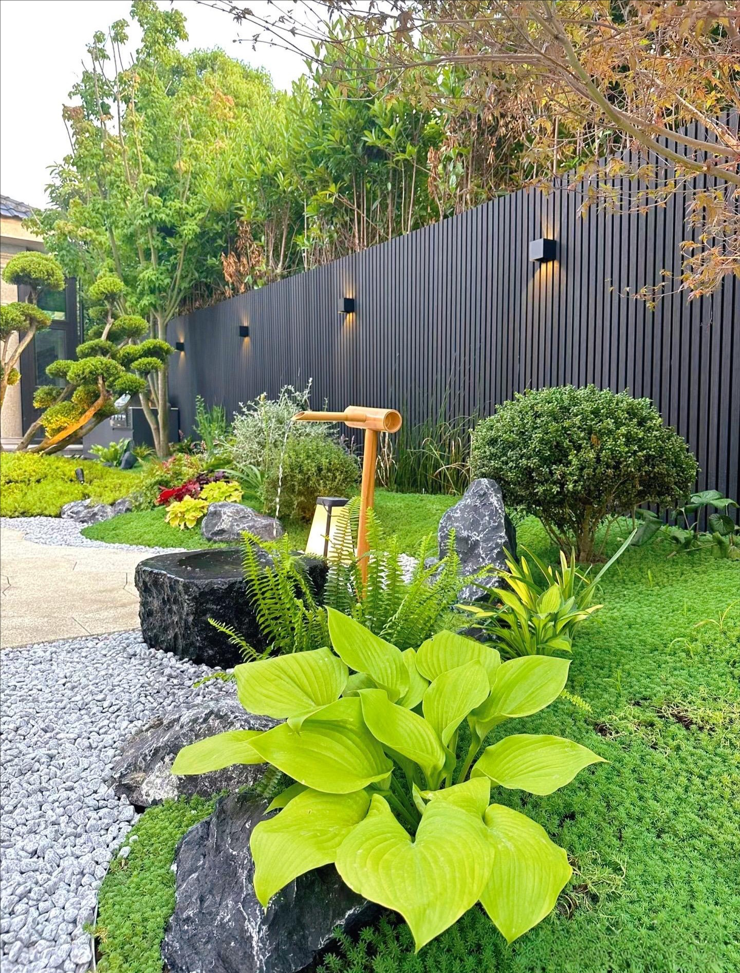 庭院植物造景