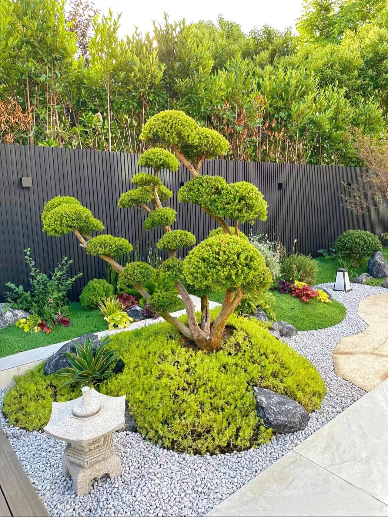 庭院植物