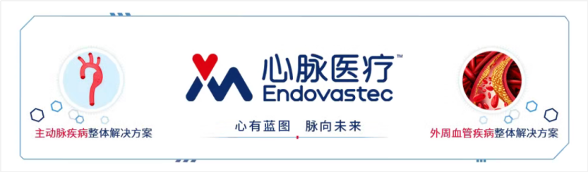 聚齡醫(yī)療器械WMS用戶心脈醫(yī)療胸主多分支支架獲歐盟定制證書