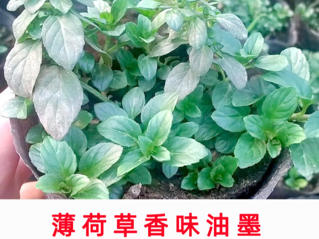 廣東溫變有色變無色防偽油墨批量定制,防偽油墨