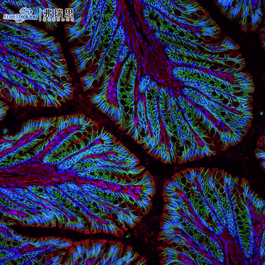 小步驟 大世界 - 病理切片