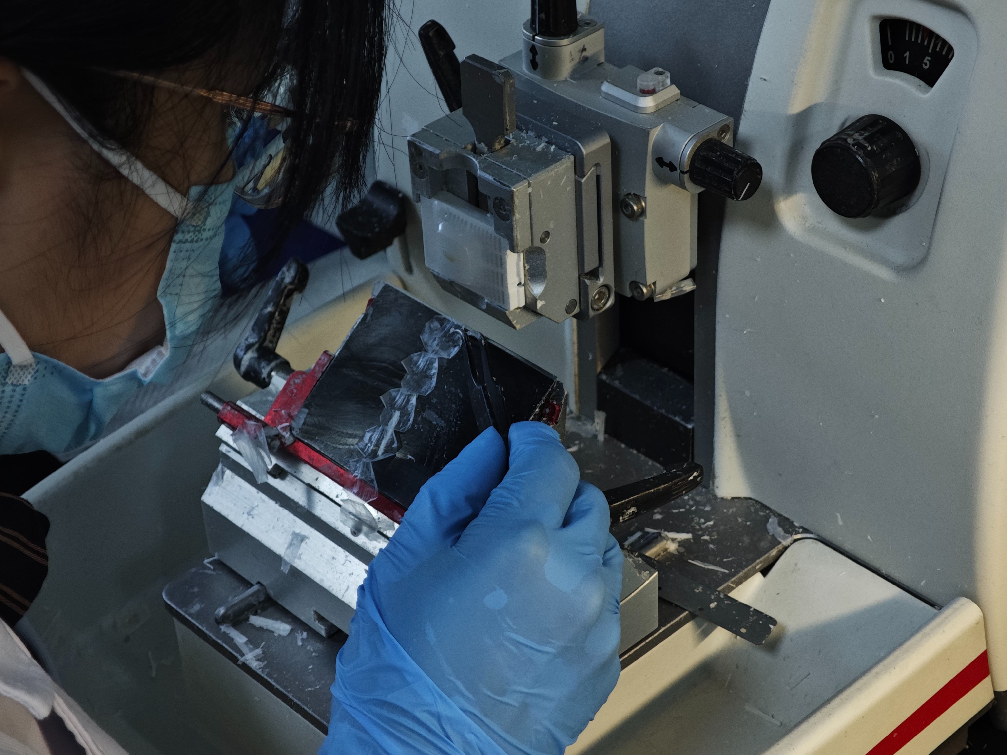 哪個步驟是病理實驗流程中重要的環節？