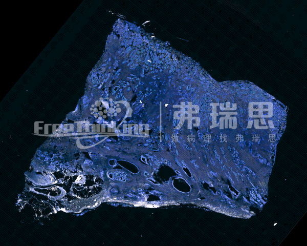 2標(biāo)3色