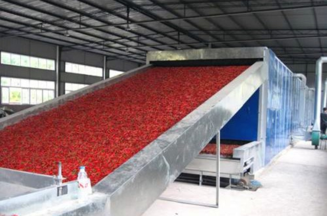 河北食品帶式干燥機實力生產廠家,帶式干燥機