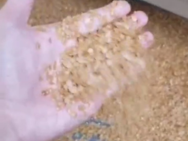 河北食品帶式干燥機(jī)實(shí)力生產(chǎn)廠家