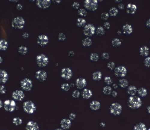 PLLA（左旋聚乳酸）微球