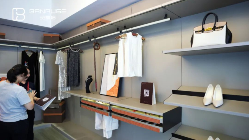 上海女性款拉籃廠家 佛山市南海索特五金制品供應(yīng)