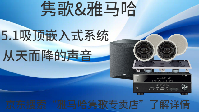 寶山區(qū)YAMAHA家庭影院音響廠家 上海僑輝經(jīng)貿(mào)供應(yīng)