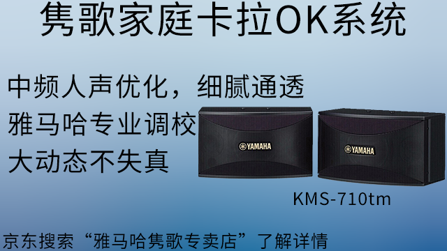 寶山區卡拉OK音箱設計 上海僑輝經貿供應