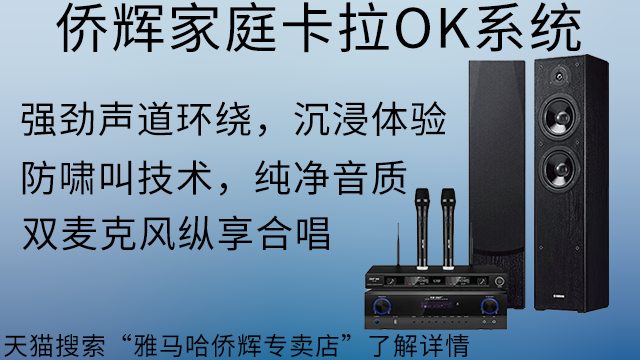 普陀區(qū)音王別墅卡拉OK音箱設(shè)計 上海僑輝經(jīng)貿(mào)供應(yīng)