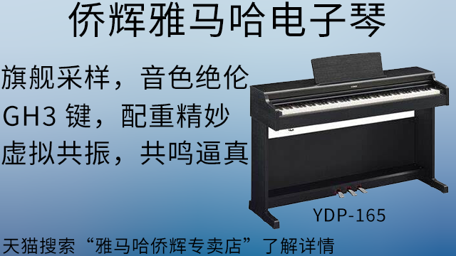 寶山區(qū)雅馬哈私人電子琴定制 上海僑輝經(jīng)貿(mào)供應(yīng)