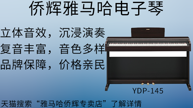 靜安區(qū)電子琴定制 上海僑輝經(jīng)貿(mào)供應