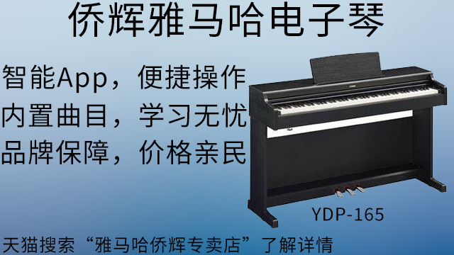 青浦區(qū)電子琴價格 上海僑輝經(jīng)貿(mào)供應(yīng)