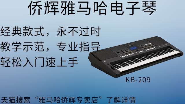 闵行区YAMAHA商场电子琴价格,电子琴
