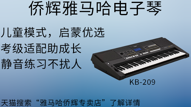 徐汇区雅马哈商场电子琴价格 上海侨辉经贸供应
