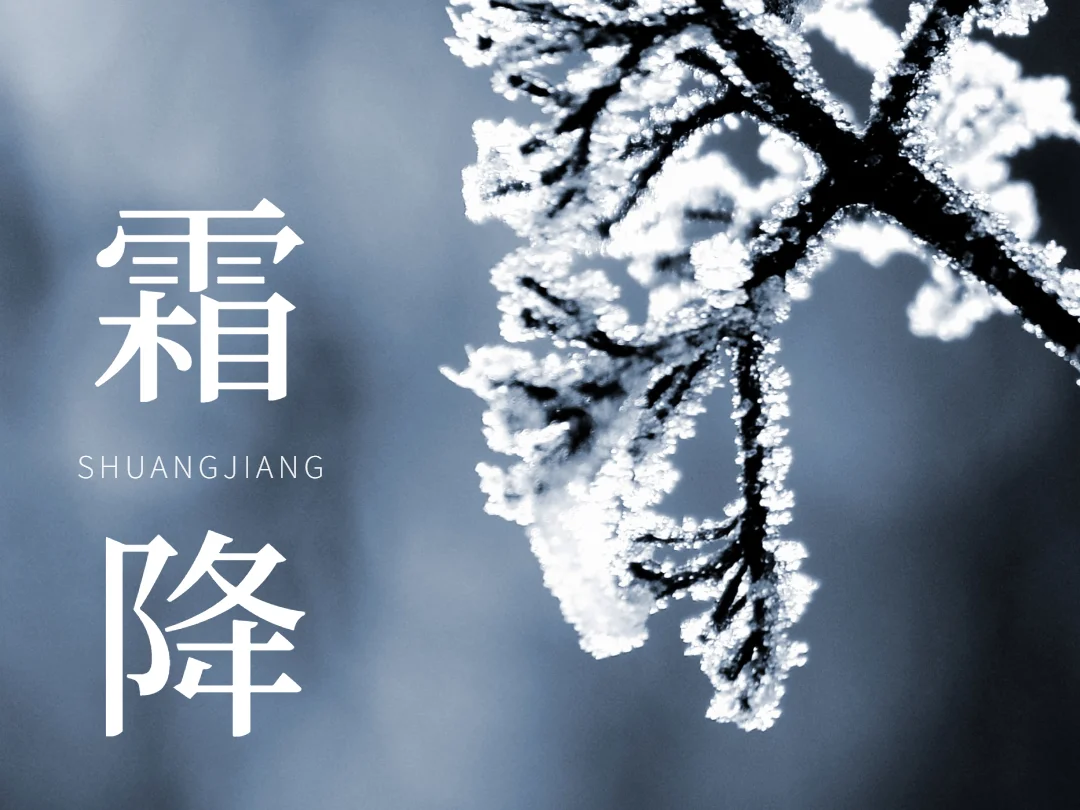 四時(shí)有序， 霜華滿枝。浩博特，硬核品質(zhì)， 始終如一