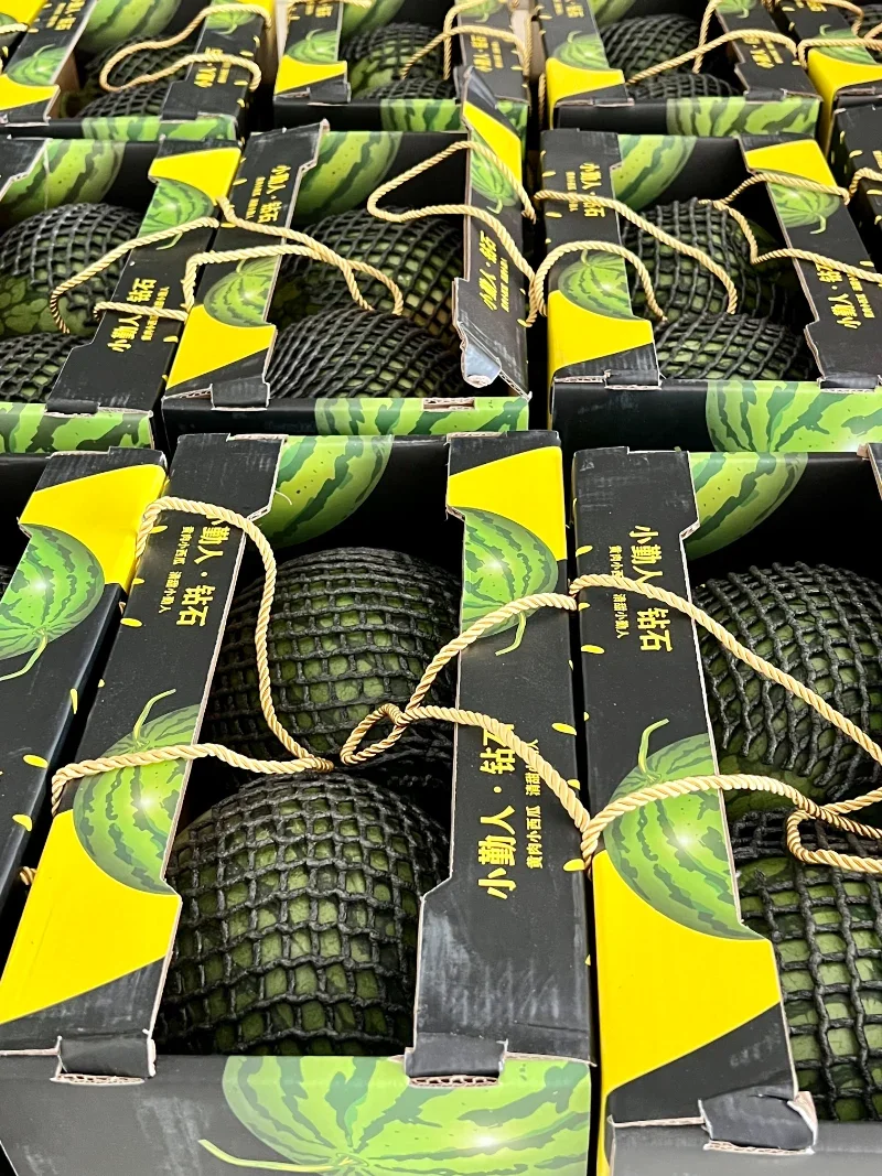 Празднование Праздника драконьих лодок с Тяньсяном