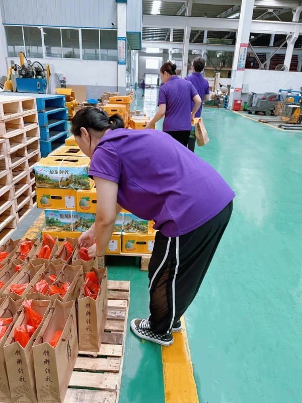 Jiangyin Tianxiang Electrical Appliances Co., Ltd.