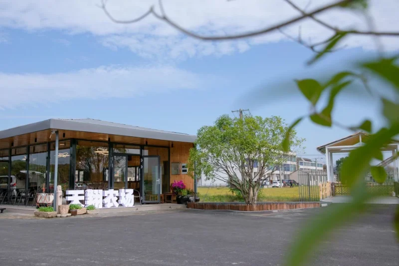 Tianxiang Company's Team-Building Extravaganza