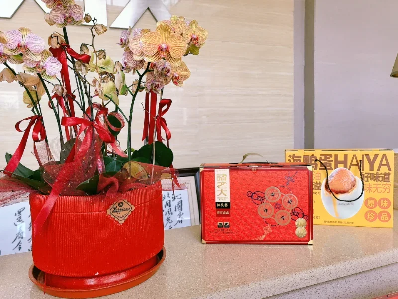 Dragon Boat Festival