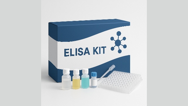 硫酸雌酮(E1S)ELISA試劑盒 上海久志生物科技供應;