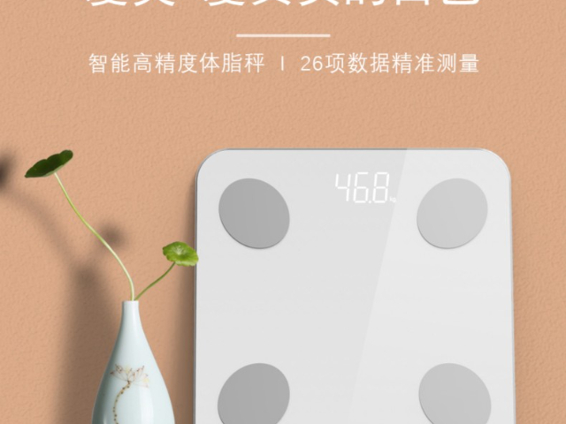 江西省售后無(wú)憂(yōu)款體脂秤量大從優(yōu)