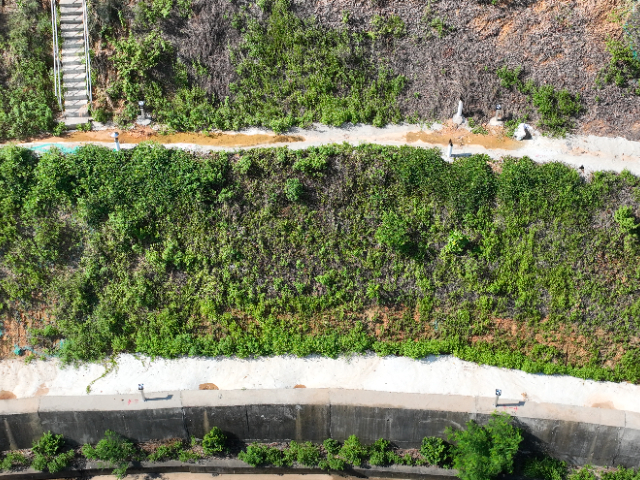 山体危岩变形无人机视觉位移监测系统平台