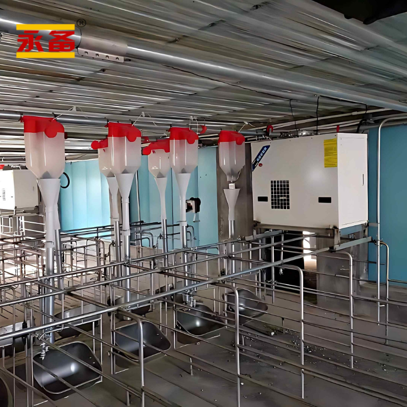河北石家莊養豬場加溫改造：燃氣加熱設備吊裝方案，實現24℃恒溫環境