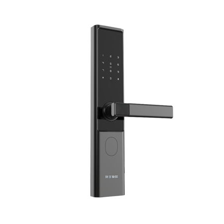 HW1網(wǎng)關(guān)鎖（433）