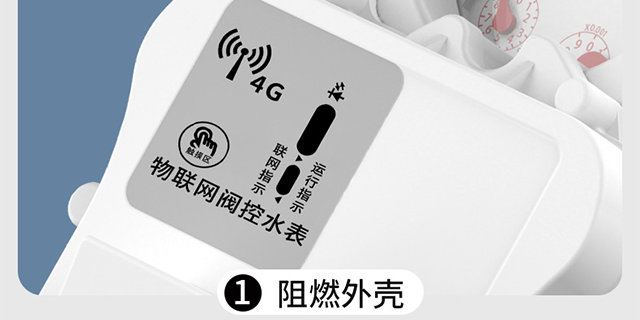 防凍智能水表價格 浙江施王物聯(lián)科技供應