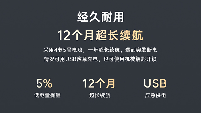 湖州智能門鎖聯(lián)系電話 浙江施王物聯(lián)科技供應(yīng)