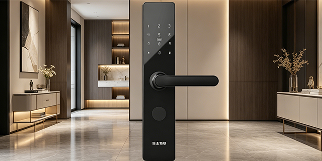 宁波可远程临时开门4G超级网关门锁厂家,施王4G超级网关门锁