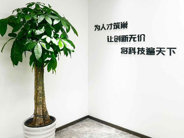 上海質(zhì)量MOSFET供應(yīng)商哪家公司好,MOSFET供應(yīng)商