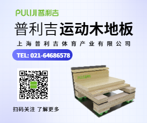 普利吉体育运动木地板