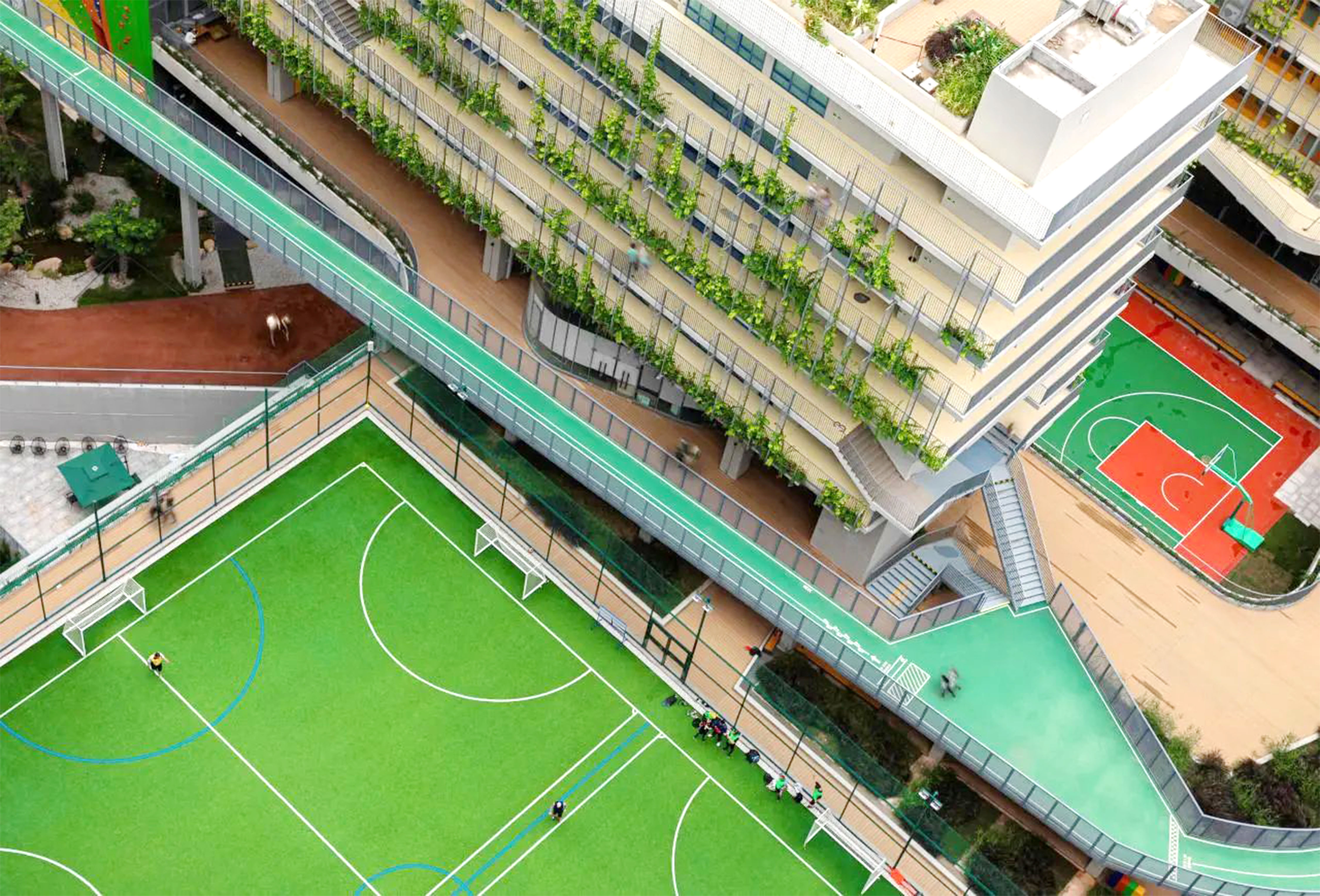 體教融合示范案例-深圳國際交流學校改造