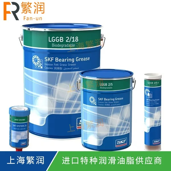 SKF LGGB 2