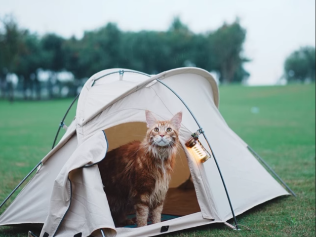 福建防曬防雨帳篷批發(fā) 衢州三禾戶外裝備科技供應