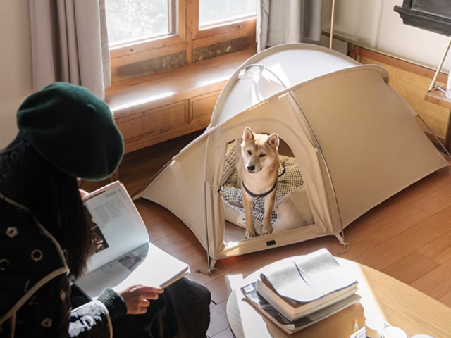 江蘇兒童帳篷哪家好 衢州三禾戶外裝備科技供應(yīng)