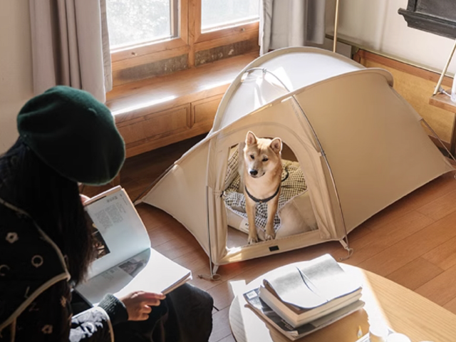 江西自動戶外用品 衢州三禾戶外裝備科技供應